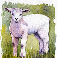 Lamb- by Maureen Carter